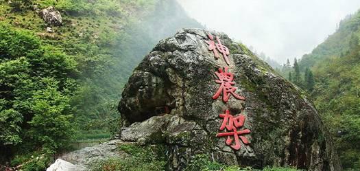 全民烧脑3去广告版