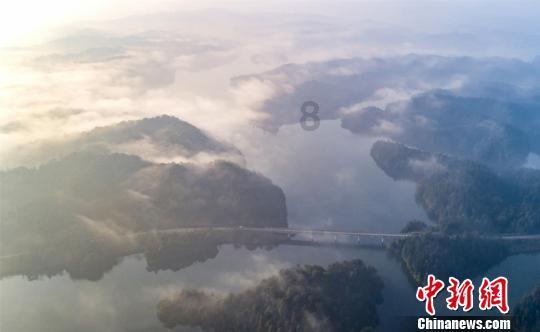 了解玄凤鹦鹉养多少可以办证?知识星球,深入探索最新前沿知识!